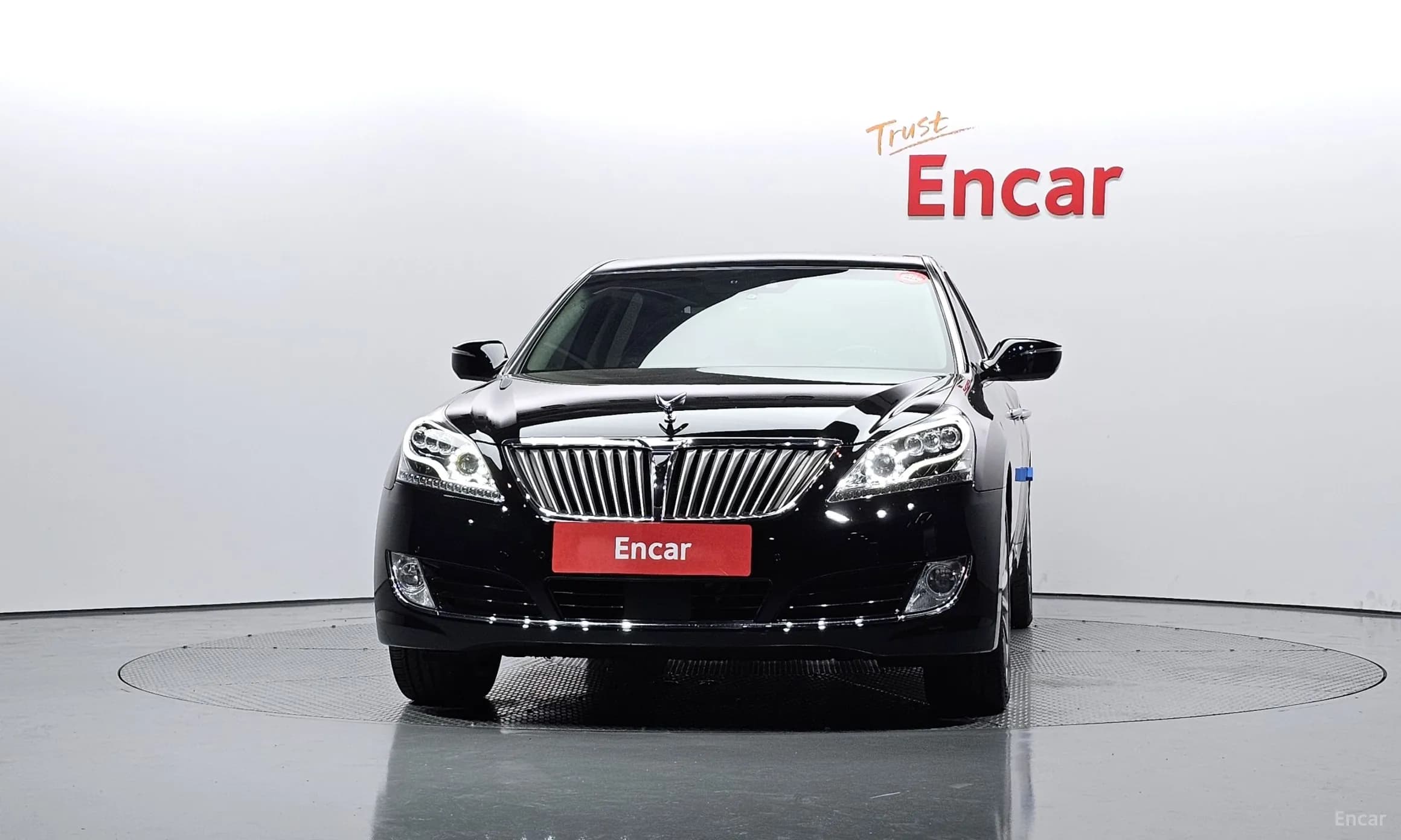 Equus (new)