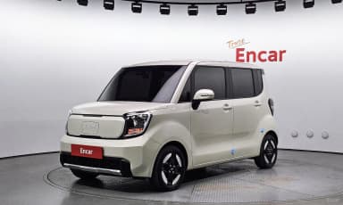 The New Kia Ray EV