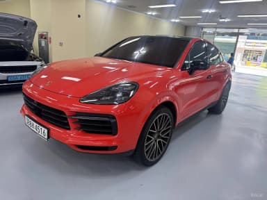 Cayenne (PO536)
