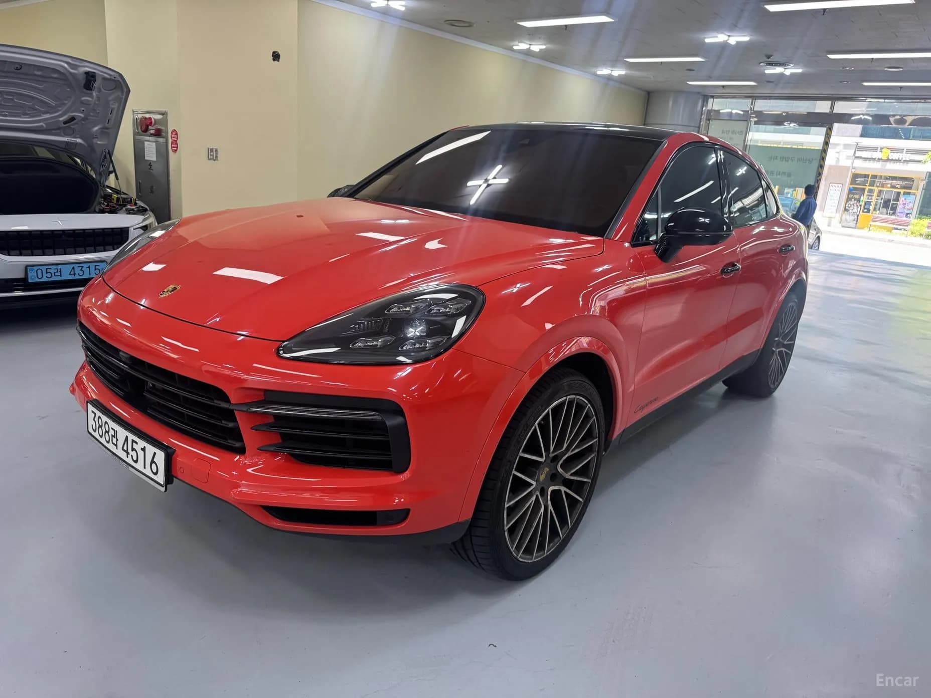 Cayenne (PO536)
