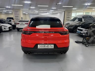 Cayenne (PO536)