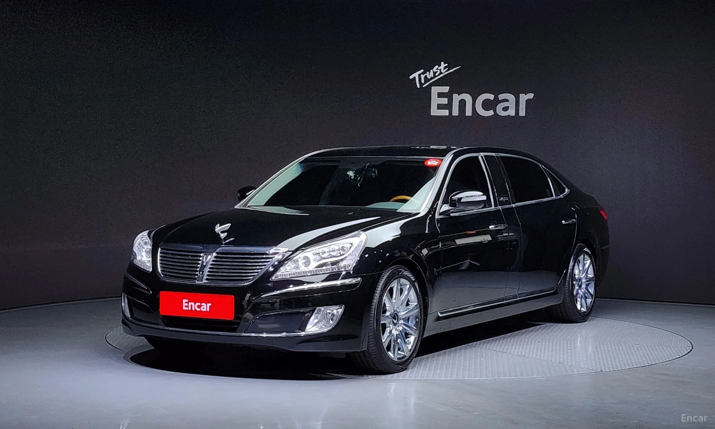 Equus (new)