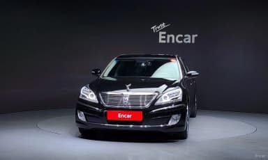 Equus (new)