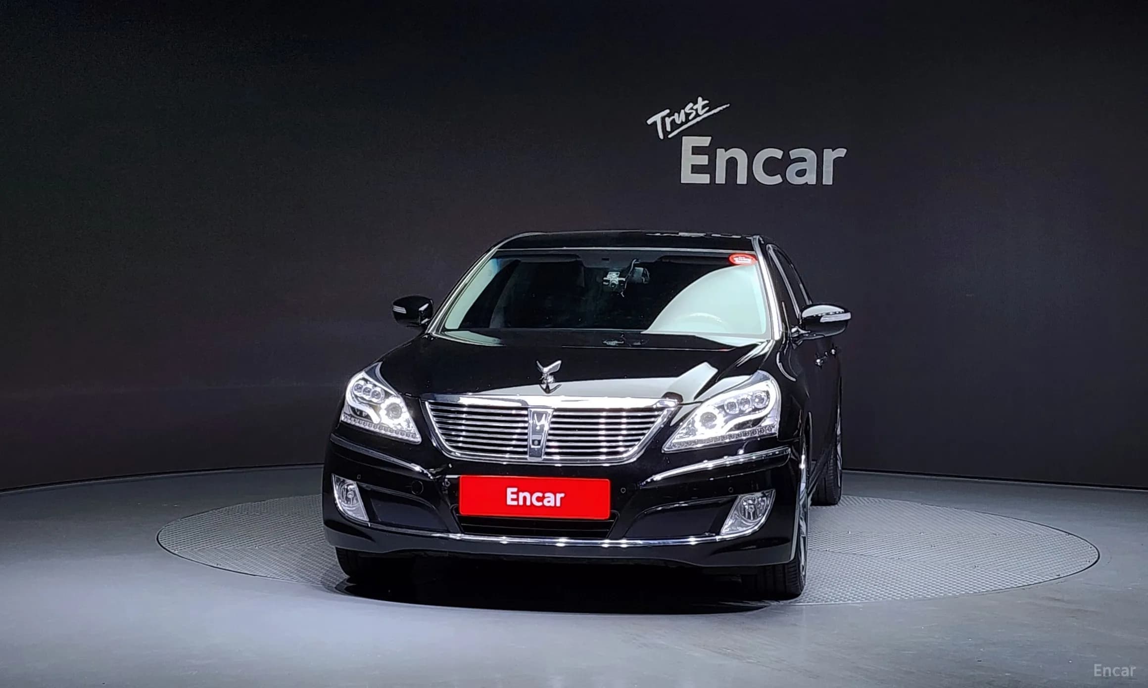 Equus (new)