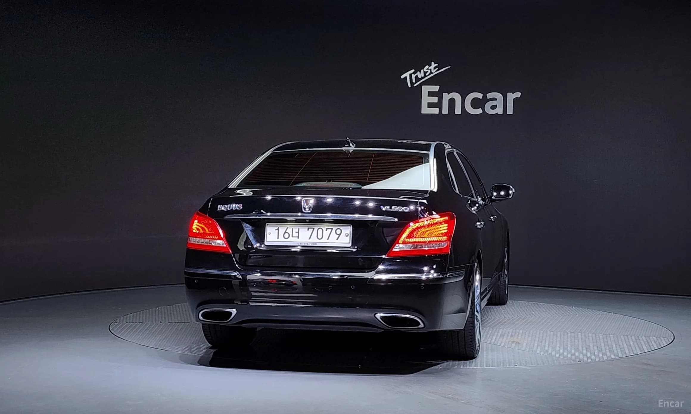Equus (new)