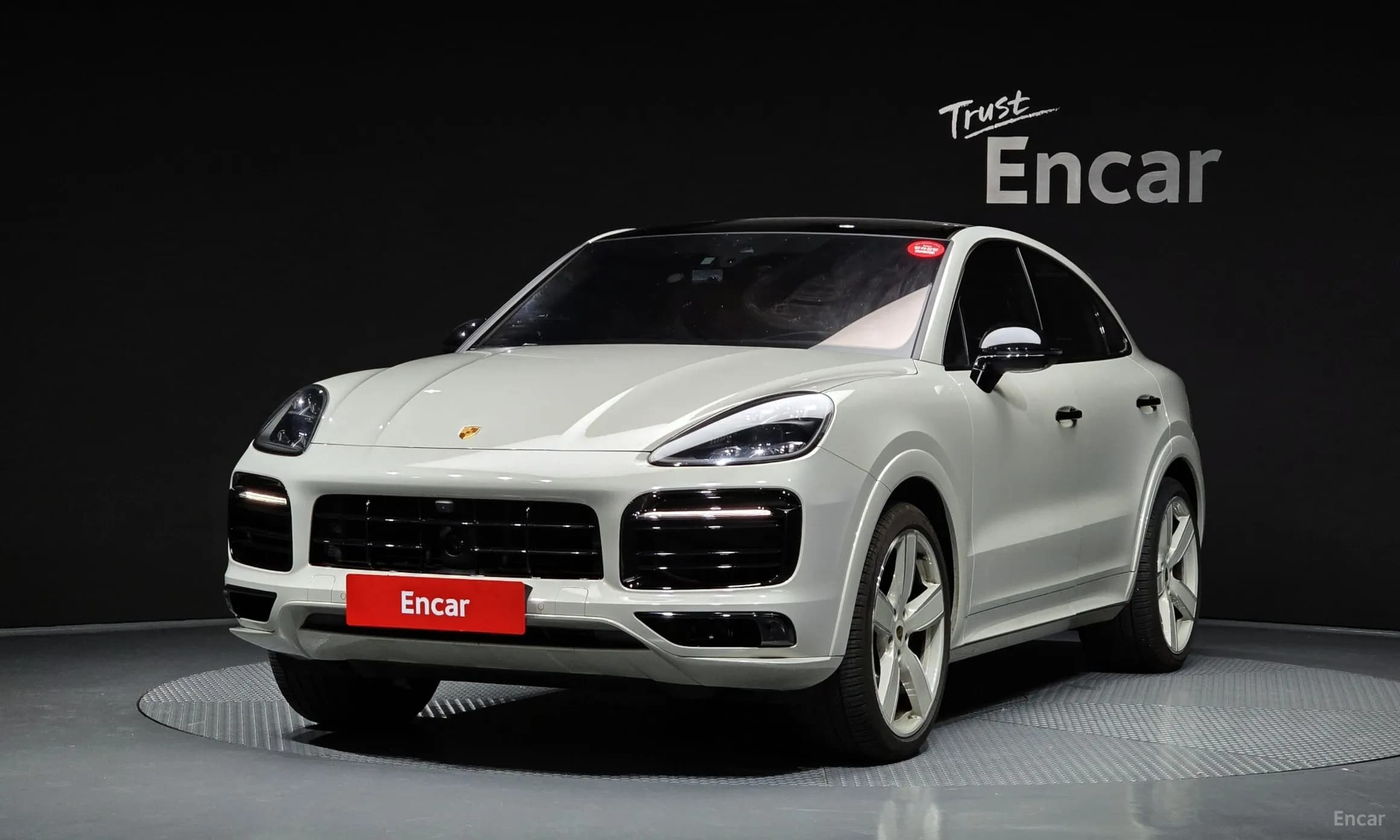 Cayenne (PO536)