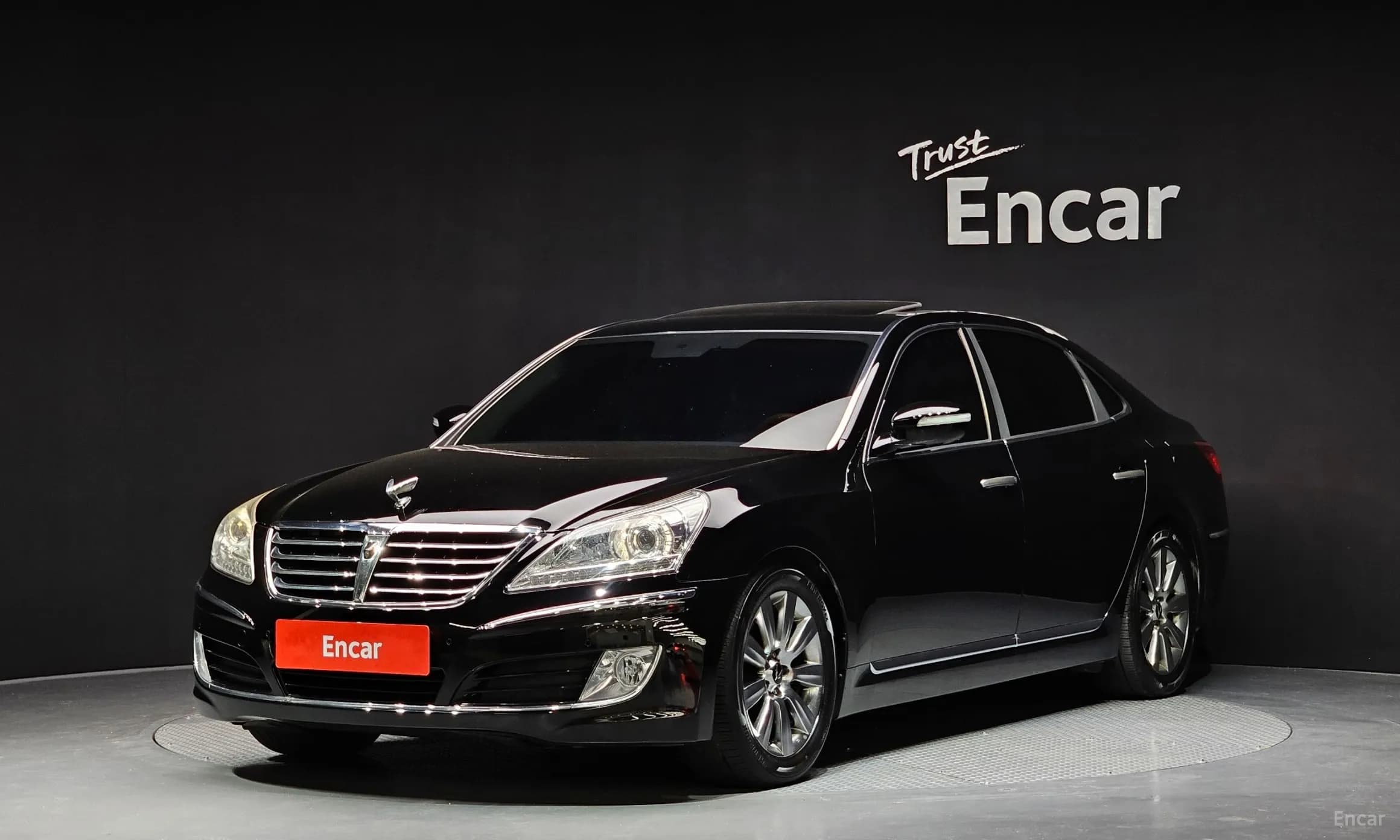 Equus (new)