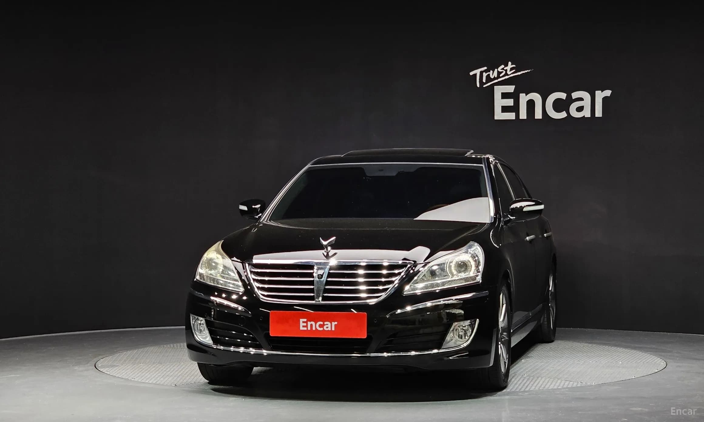 Equus (new)