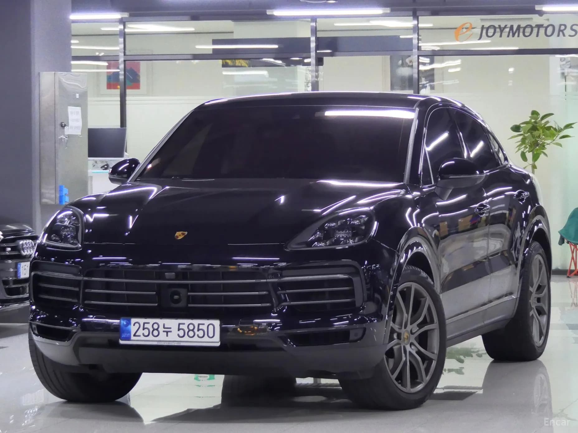 Cayenne (PO536)