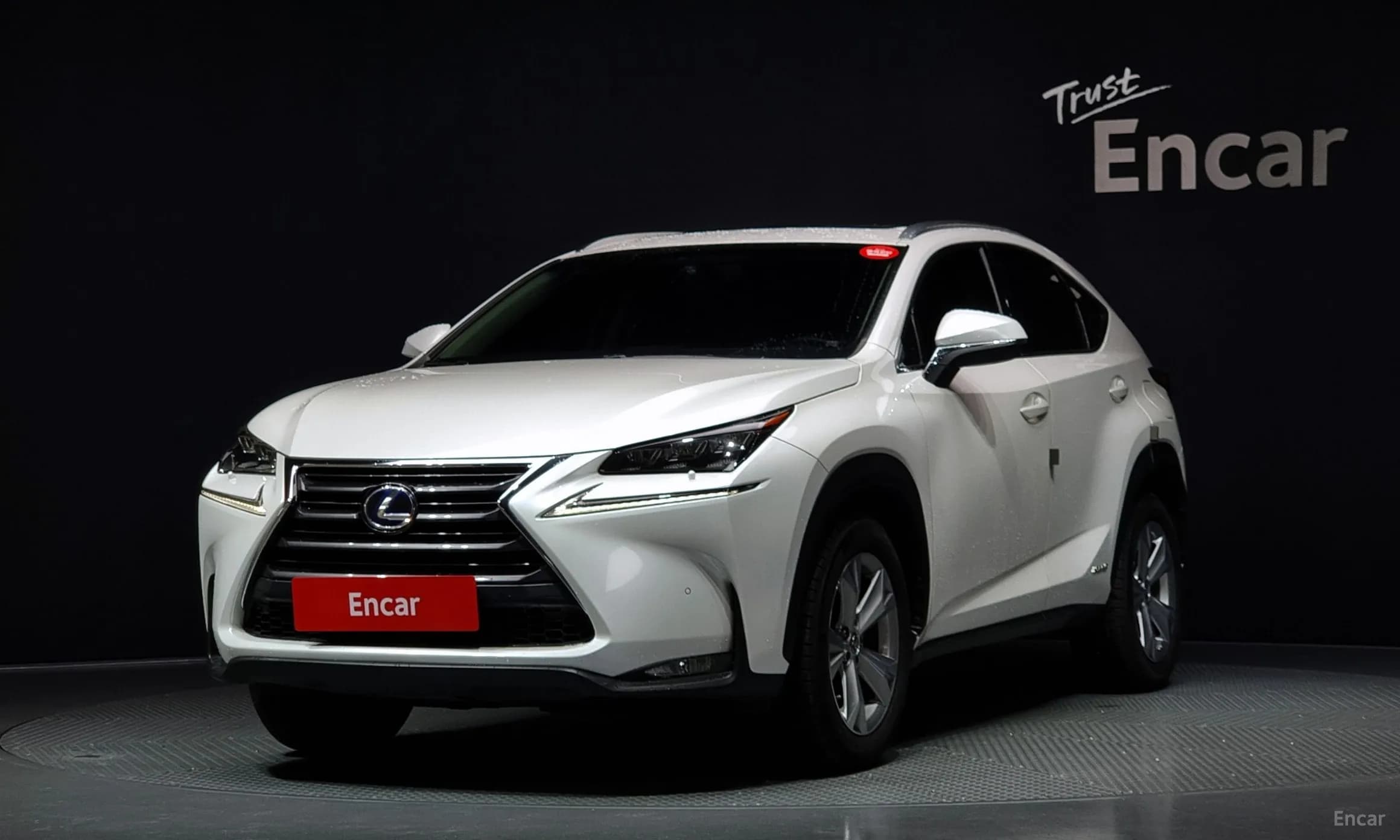 NX300h