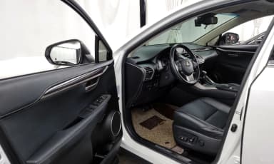 NX300h
