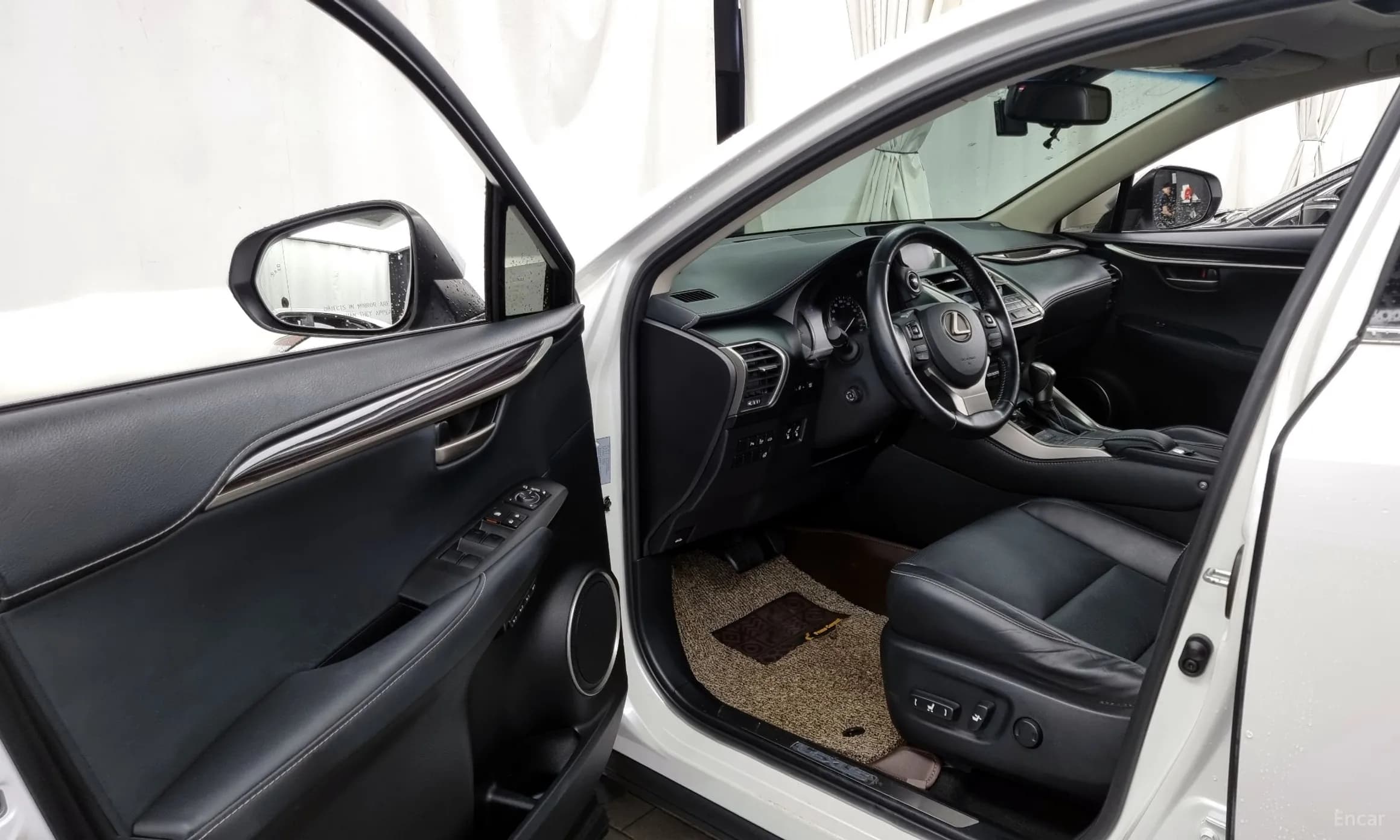 NX300h