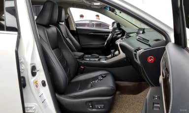 NX300h