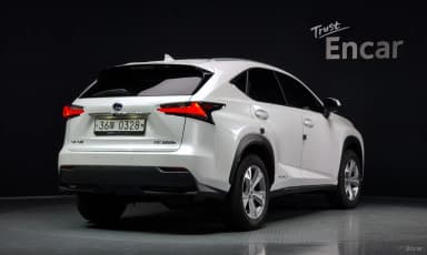 NX300h
