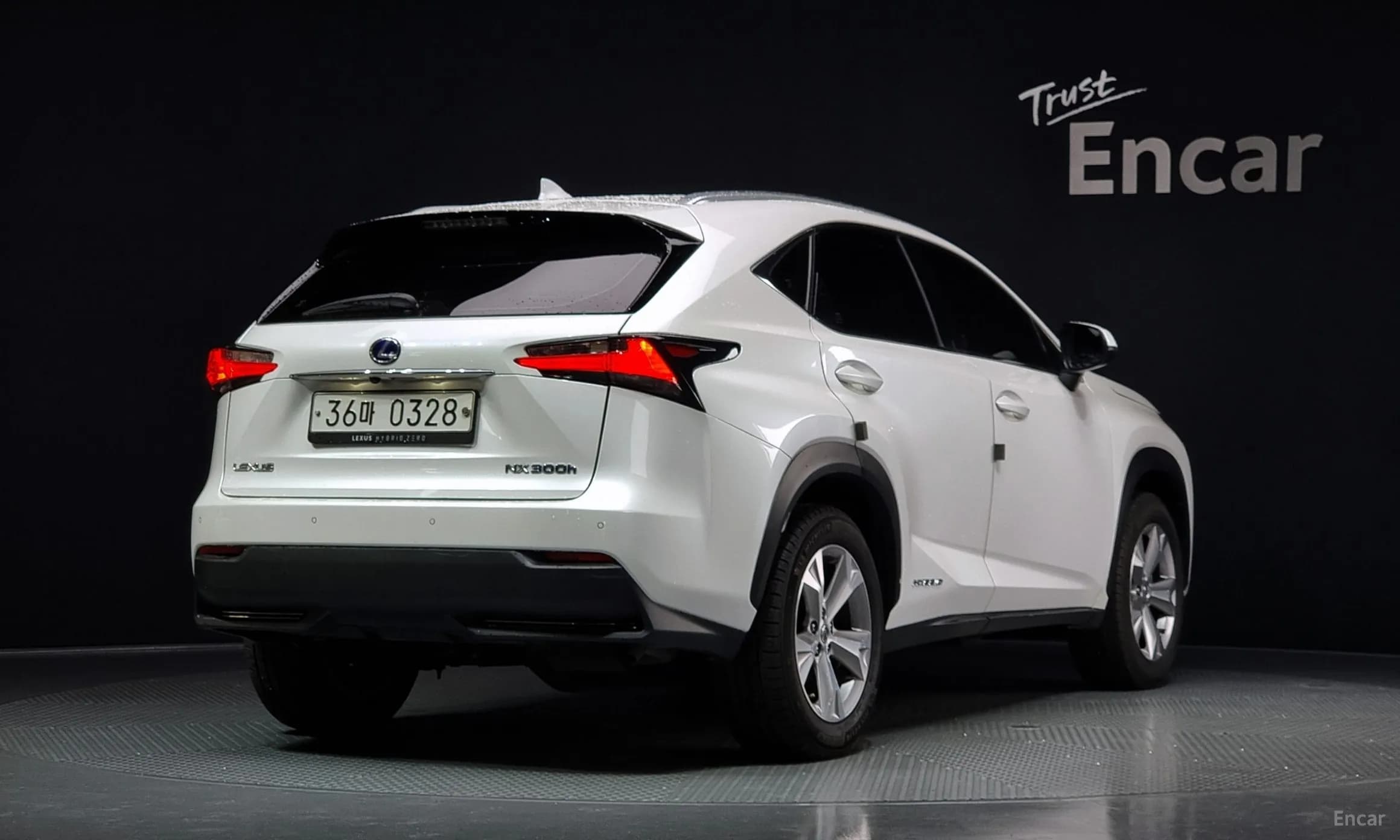 NX300h