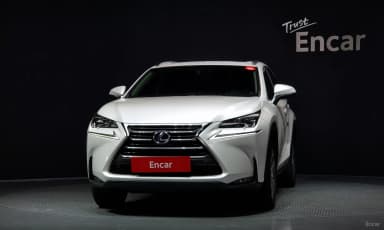 NX300h