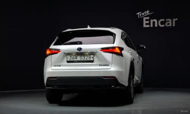 NX300h