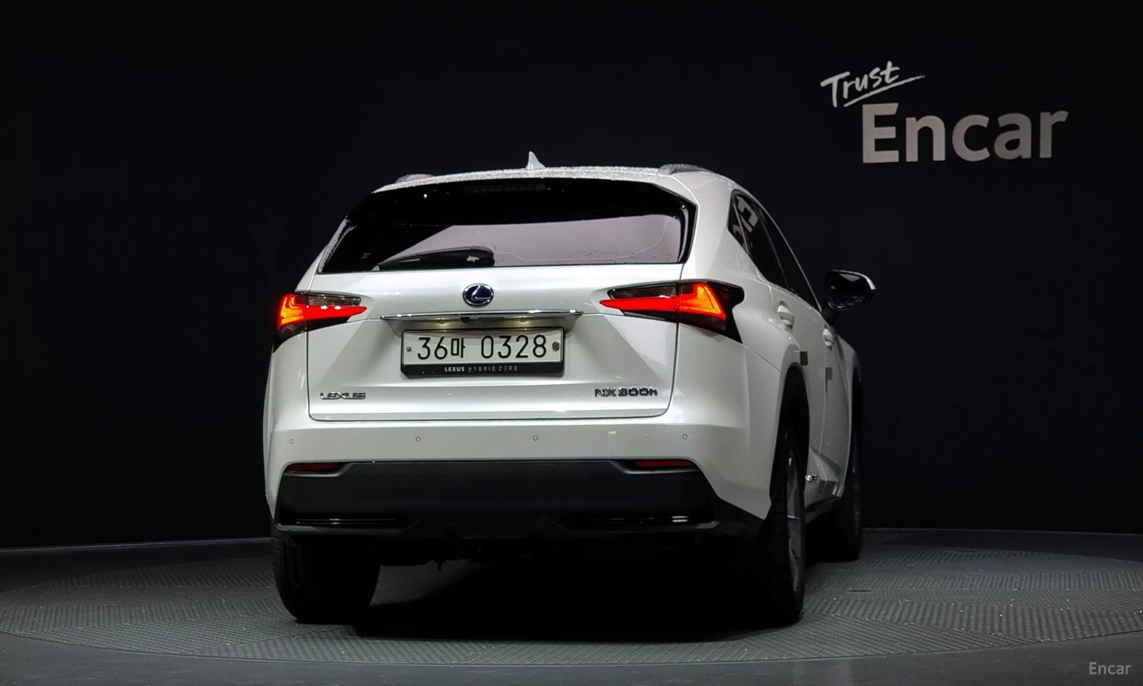NX300h