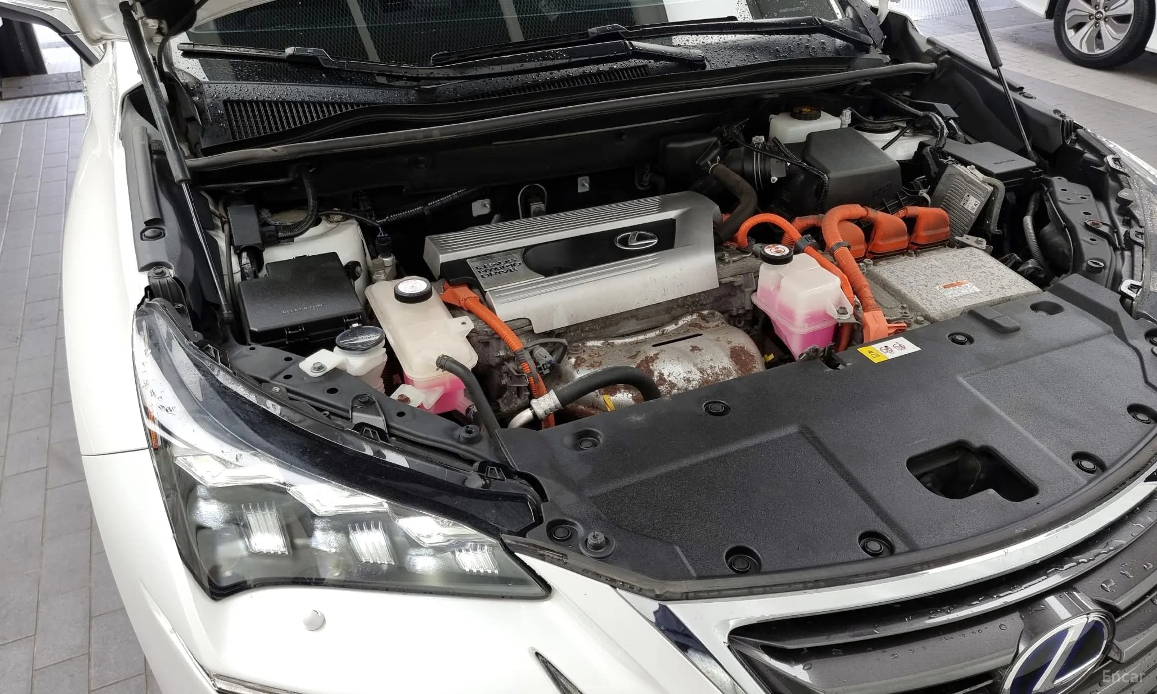 NX300h