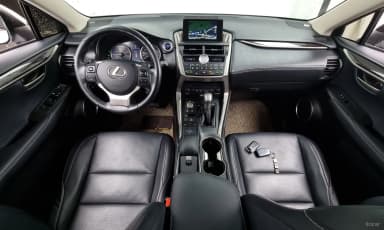 NX300h