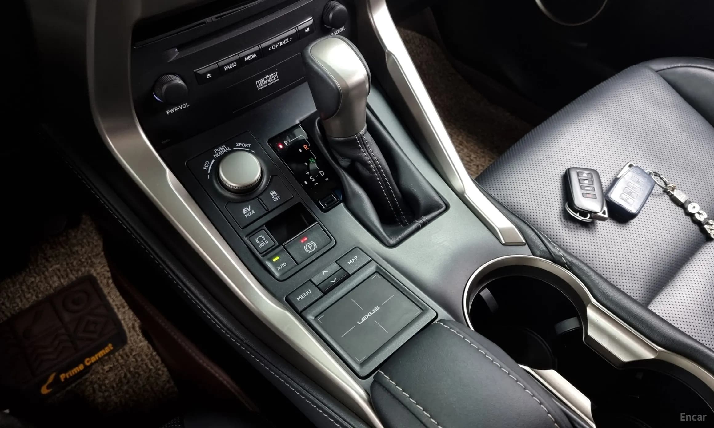 NX300h