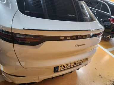 Cayenne (PO536)