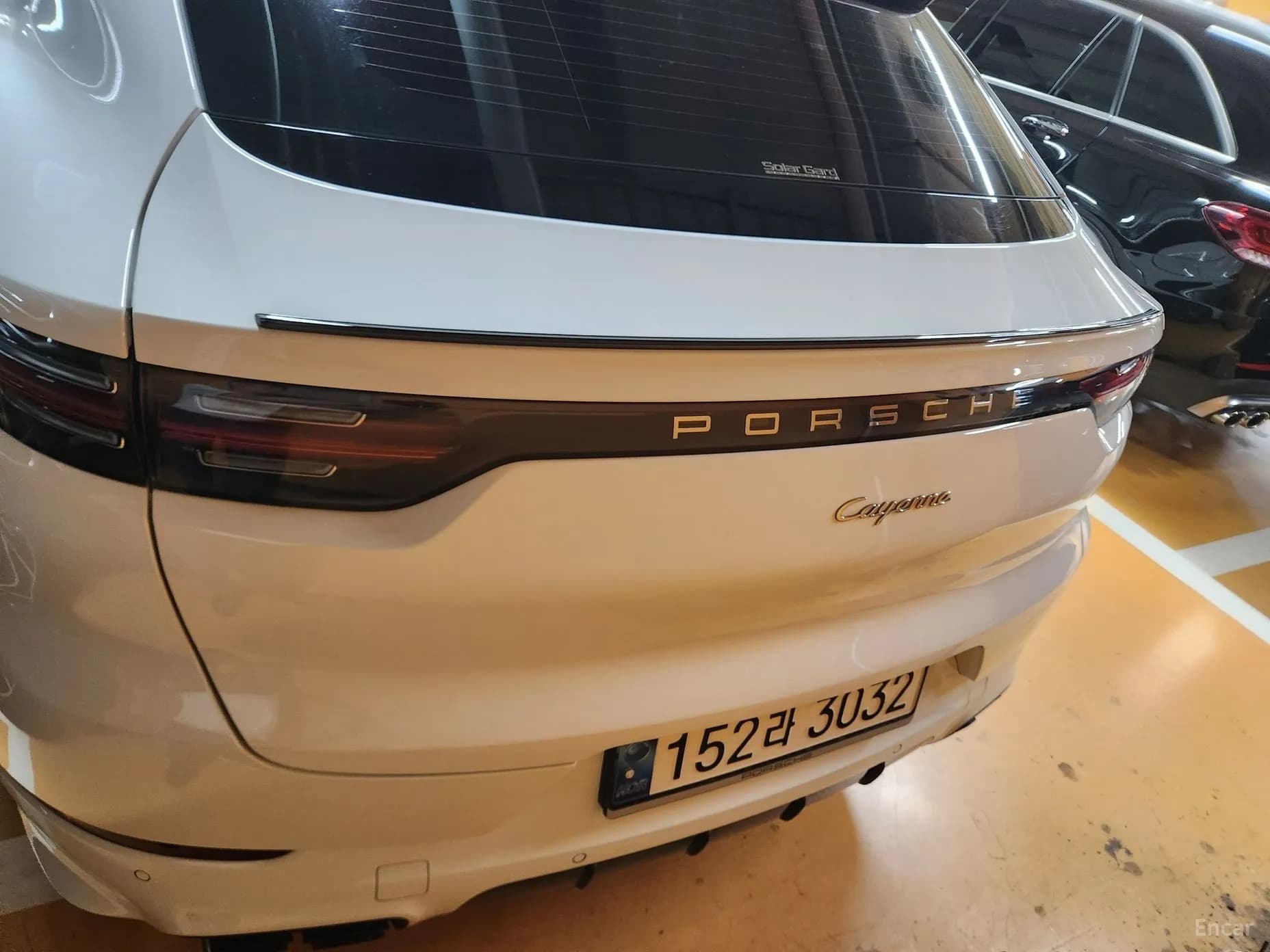 Cayenne (PO536)