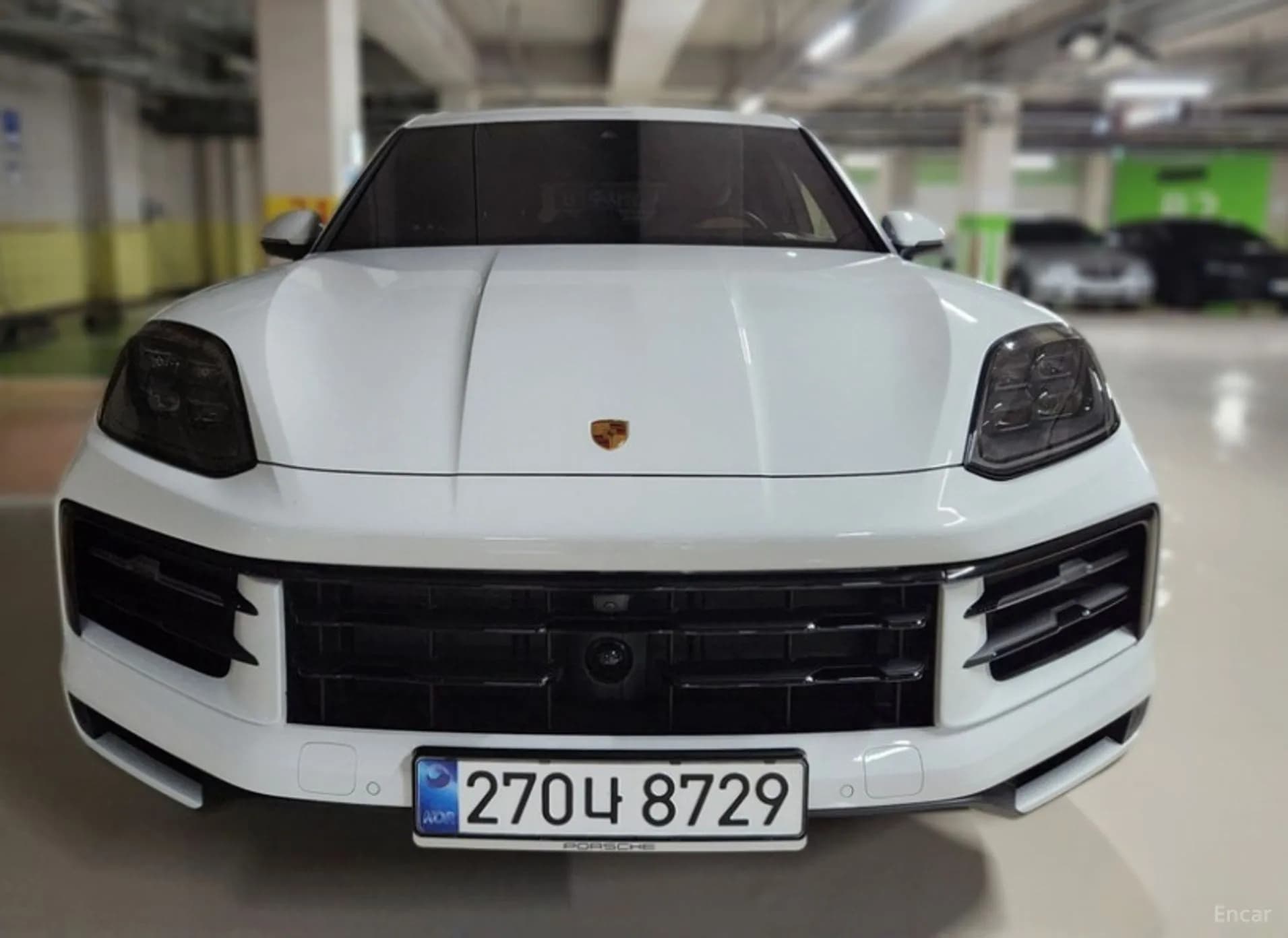Cayenne (PO536)