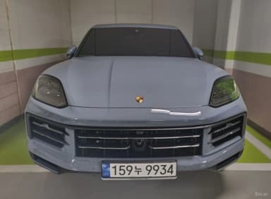 Cayenne (PO536)