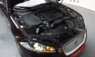 New XF