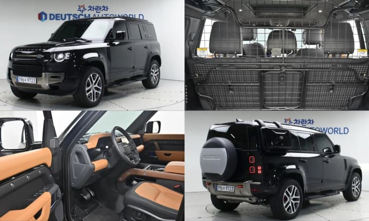 Defender (L663)