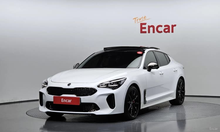 Stinger Master
