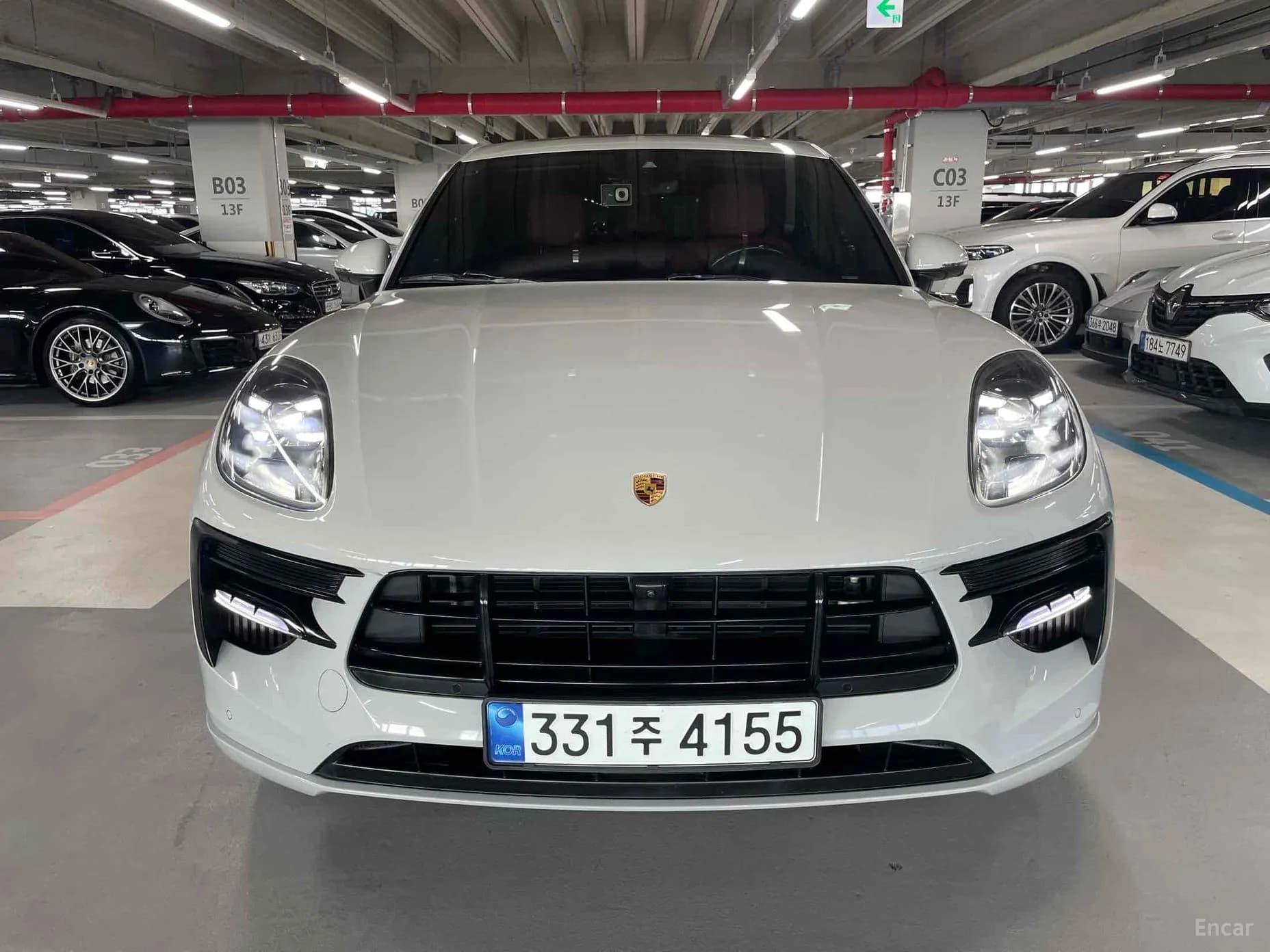 Macan