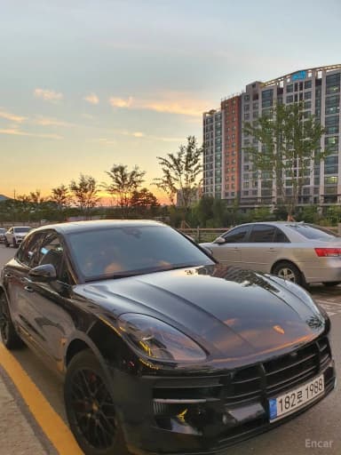 Macan