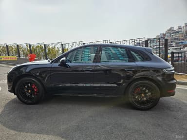 Macan