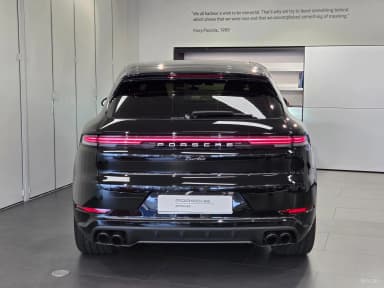 Cayenne (PO536)