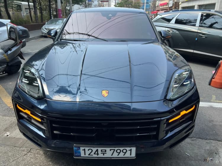Cayenne (PO536)
