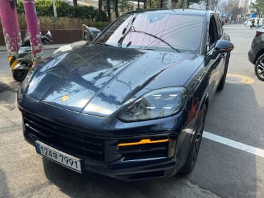 Cayenne (PO536)