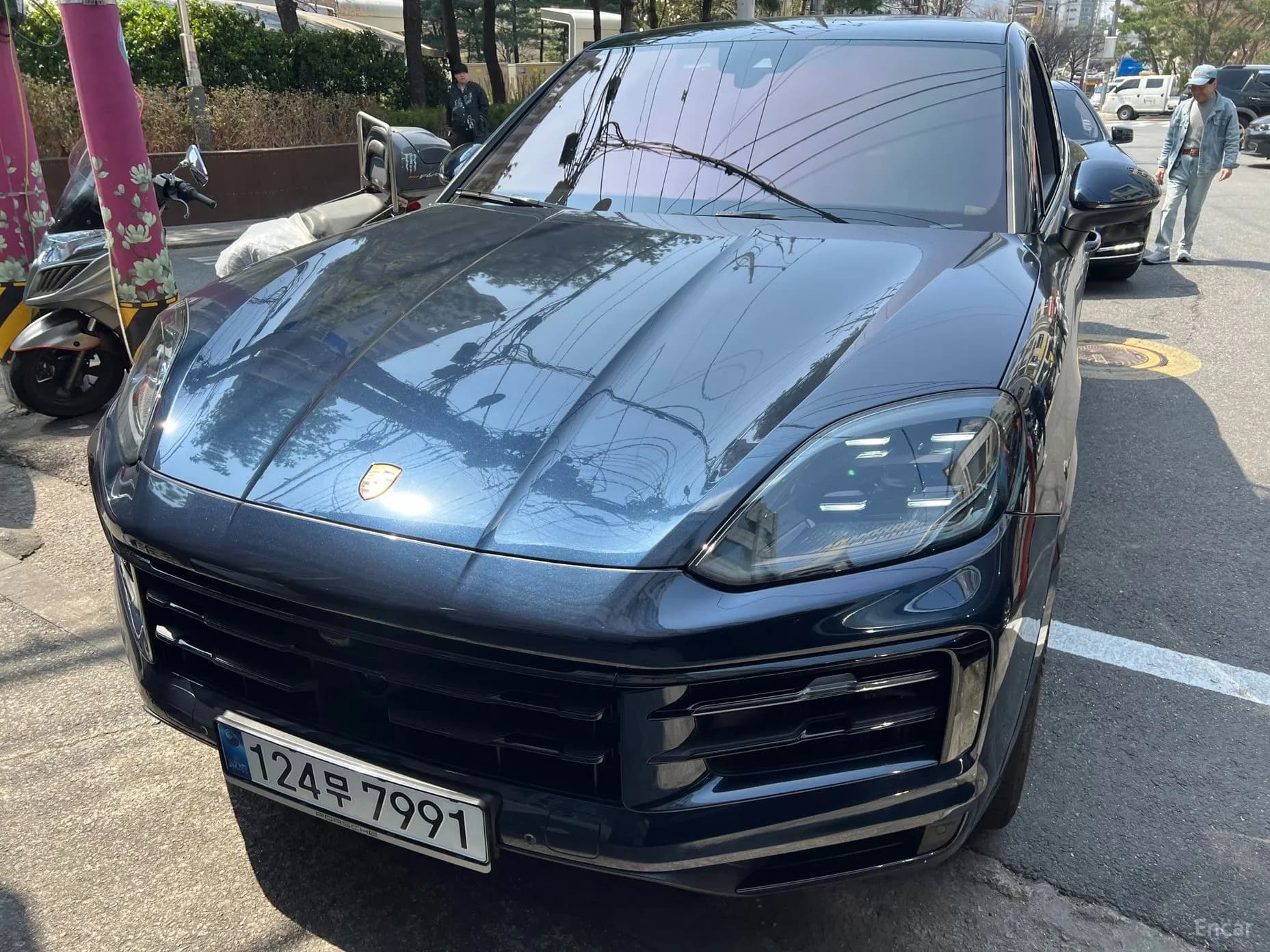 Cayenne (PO536)
