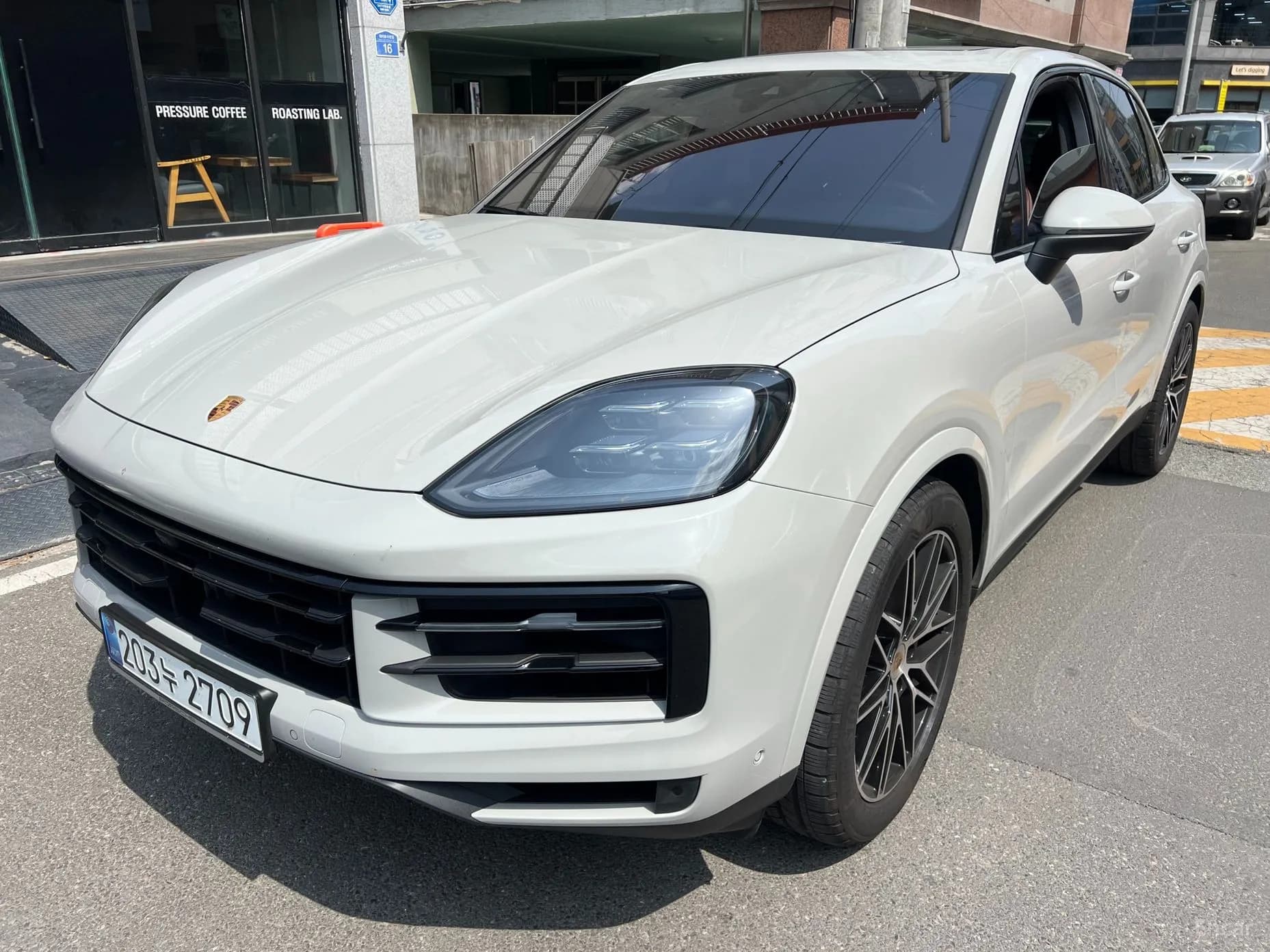 Cayenne (PO536)