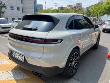 Cayenne (PO536)