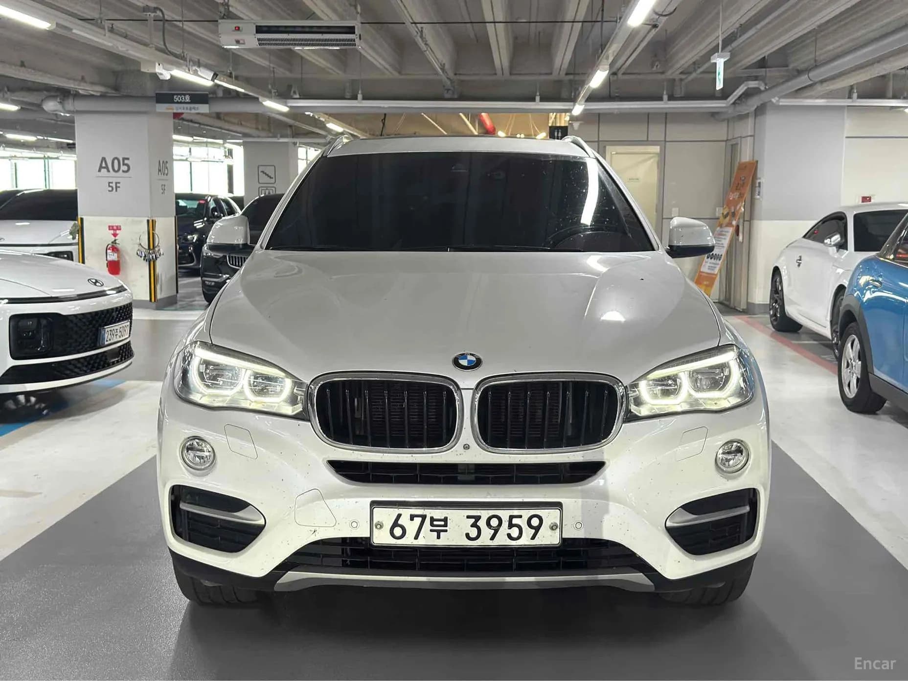 X6 (F16)