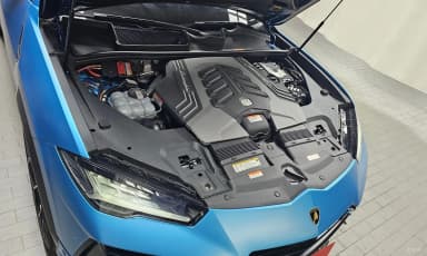 Urus