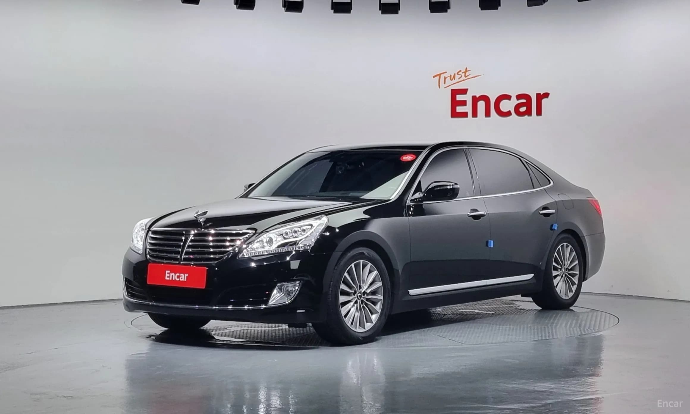 Equus (new)