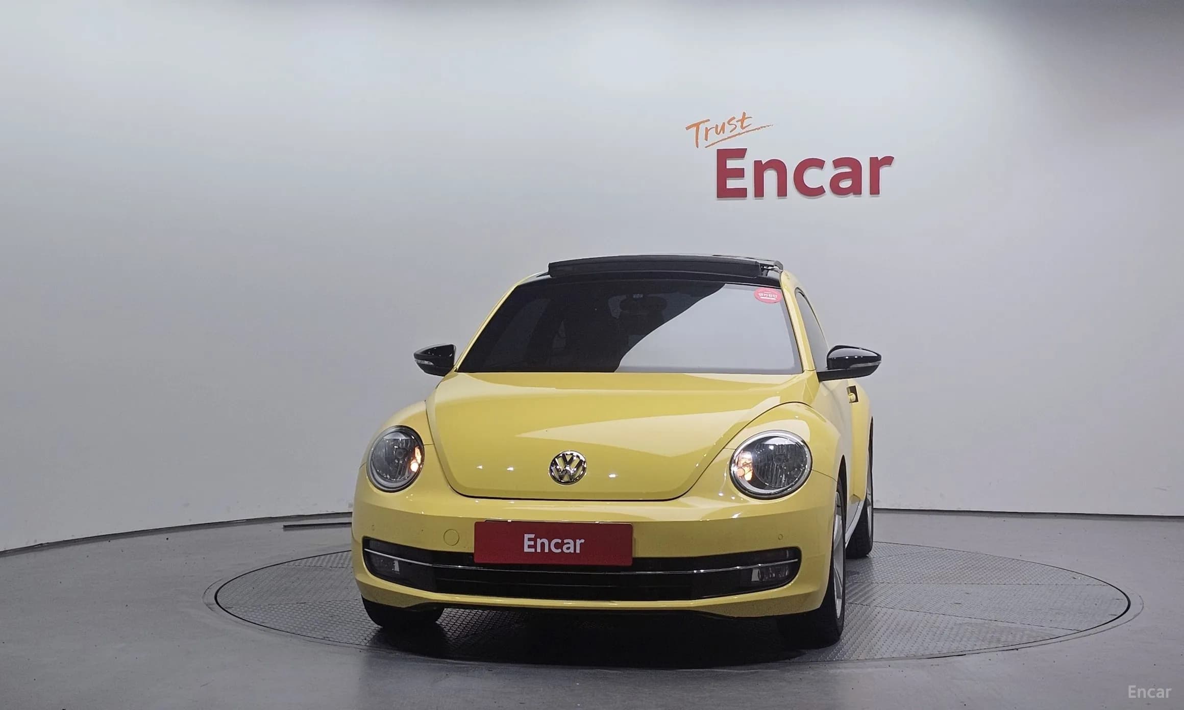 The Beetle