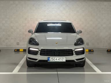 Cayenne (PO536)