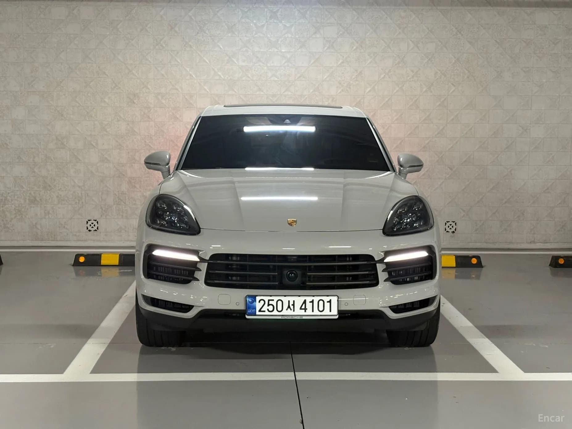 Cayenne (PO536)