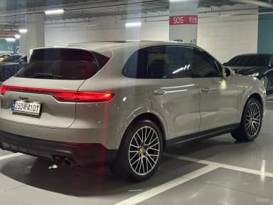 Cayenne (PO536)