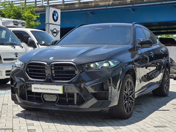 X6M (G06)