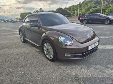 The Beetle